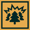 Tree Hugger Trophy