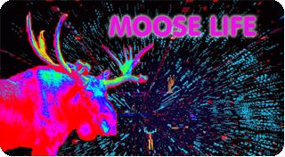 Moose Life