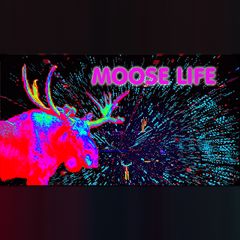 Moose Life