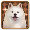 Sentiment Modification Addict Trophy