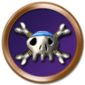 Skystones Scavenger Trophy