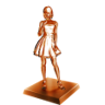 Hero of the Story Trophy