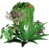 Buntanist Trophy
