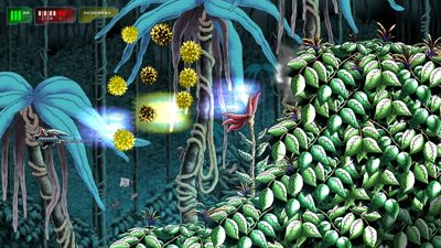 Laserpitium