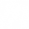 Brute Force Trophy