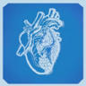A Change of Heart Trophy