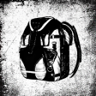 In the Bag Trophy