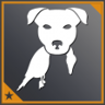 Fetch Trophy