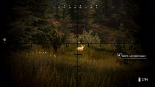 Hunting Simulator 2 Screenshot 4
