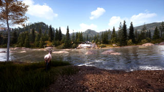 Hunting Simulator 2 Screenshot 6