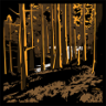 Coastal Rainforest Expert Trophy