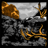 Desert Expert Trophy