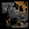 Forest Expert Trophy