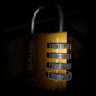 Master of unlocking Trophy