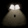 Secrets in the dark Trophy
