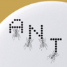 Ant Acquisition Trophy