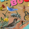 Birds, Flowers, Bugs Trophy