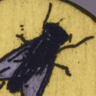 Giant Fly Trophy
