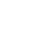 Green Thumbs Trophy
