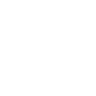 Chrysalis Trophy