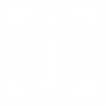 Optican Trophy