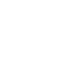 Shutterbug Trophy