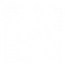 Shutterbug Trophy