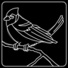 Bird Spotting Trophy