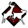 Forest Whisperer Trophy