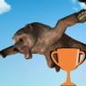Five Bullseyes! Trophy