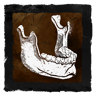 Memento Mori Trophy