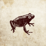 Leapfrog Trophy