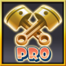 Pro Tuner Trophy