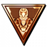 Item Collector Trophy