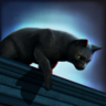 Possess the Cat Trophy