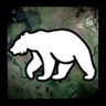 Bear Hunt Trophy