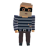 25 Robbers Trophy