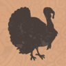 Turkey Whisperer Trophy