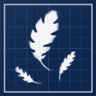 Be green, my friend Trophy