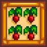 Monoculture Trophy