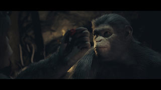 Planet of the Apes: Last Frontier Screenshot 1
