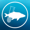 Specimen Catfish Hunter Trophy