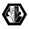 Bad Karma Trophy