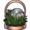 Walk Off Trophy