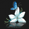 Butterfly Trophy