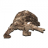 Ancient Barrage Trophy