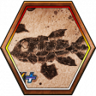 Battler of Bosses 2 Trophy