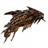 Iron Fossil Trophy