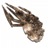 Mud Wheel Trophy