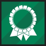 Official Participant Trophy